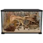 Glass Terrarium - Mini - 50.5 x 30.5 x 25 cm