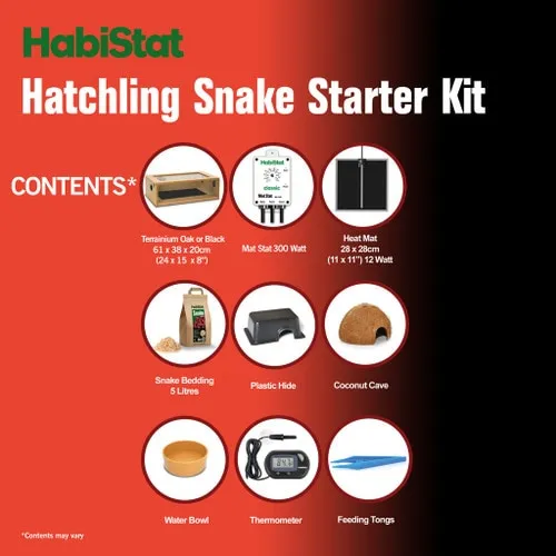 HabiStat Hatchling Snake Starter Kit - Image 5
