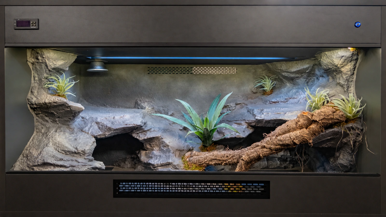 Custom bearded dragon vivarium – previous build example Example dry-style custom vivarium with lighting, structured background and cork branch