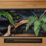 Example wooden vivarium with a structured background, branches and artificial plants