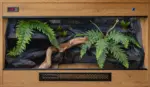 Example wooden vivarium with a structured background, branches and artificial plants