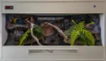 Previous custom snake vivarium build with a structured background and climbing branches