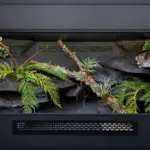 Example custom-built snake vivarium with structured background, branches and artificial plants