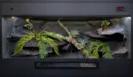 Example custom-built snake vivarium with structured background, branches and artificial plants