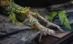 Previous vivarium build showing a textured background, cork branches, artificial plants and ventilation