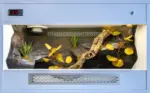 Previous dry-style wooden vivarium build with light exterior finish, cork branch and structured background