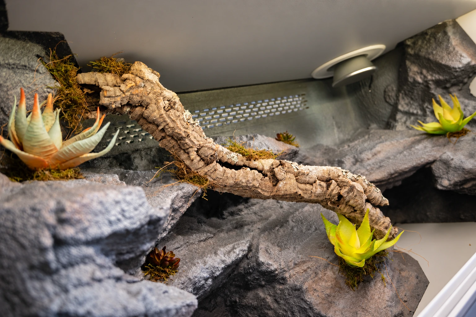 Previous build – cork branch and background finishing detail Close-up of a previous wooden vivarium interior showing a cork branch, textured background and artificial plants