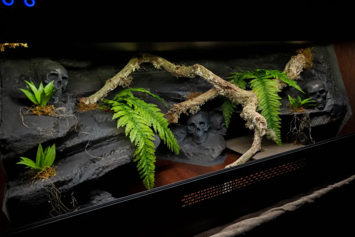 Angled view of a previous wooden vivarium interior with cork branches and textured themed background