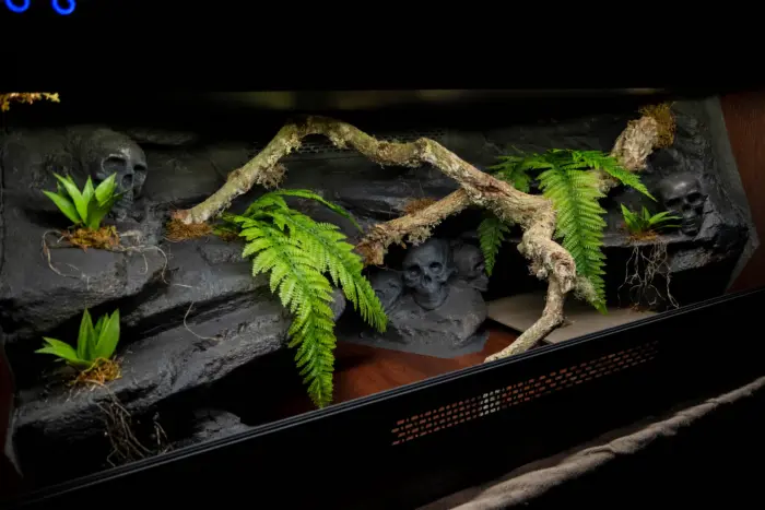 Angled view of a previous wooden vivarium interior with cork branches and textured themed background