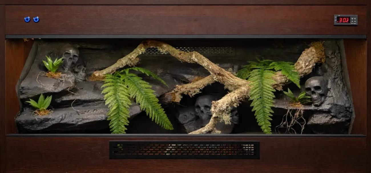 Previous dark wooden vivarium build with cork branches, artificial plants and a themed textured background