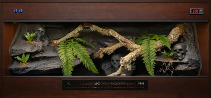 Previous dark wooden vivarium build with cork branches, artificial plants and a themed textured background