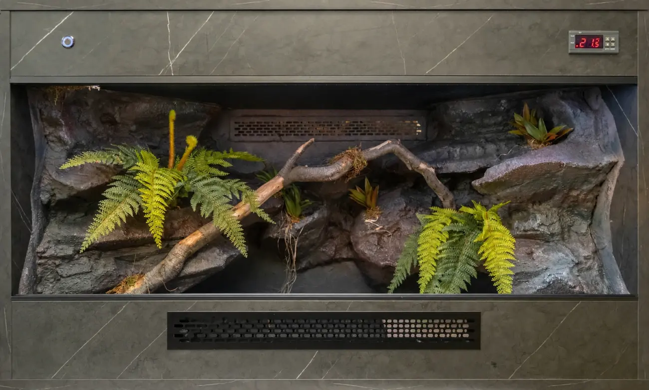 Previous wooden vivarium build with grey stone-effect finish, branching interior and artificial plants