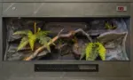 Previous wooden vivarium build with grey stone-effect finish, branching interior and artificial plants