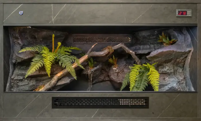 Previous wooden vivarium build with grey stone-effect finish, branching interior and artificial plants